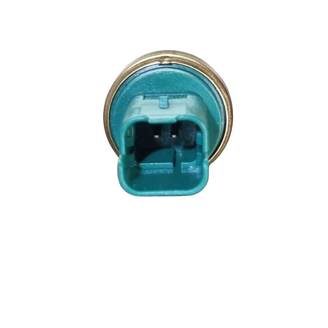SENSOR TEMPERATURA 2 PINES 206 / 307 / C4 / XSARA - Imagen 2